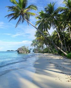 the beach is lined with palm trees and white sand