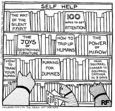 two cats sitting in front of a bookshelf with the words self help on it