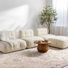 a living room with white couches and a tree in the corner on the rug