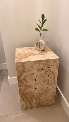 a vase with a plant in it sitting on top of a marble block next to a wall