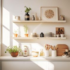 the shelves are filled with kitchen items and plants