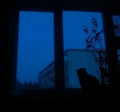 a cat sitting in the window sill looking out at an apartment building on a foggy night