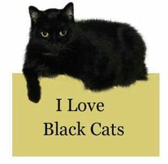 a black cat laying on top of a yellow sign that says i love black cats