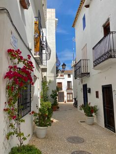 an alley way with potted plants and flowers on either side, surrounded by white buildings