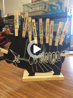 an animal made out of clothes pegs sitting on top of a wooden table next to a pile of books