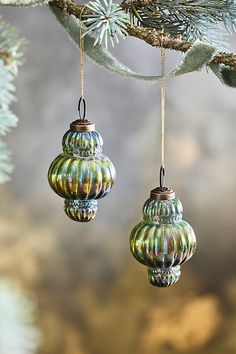 two glass ornaments hanging from a tree branch