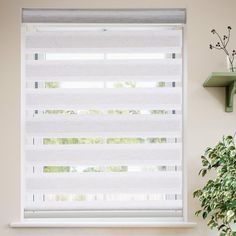 a white window with vertical blinds in a living room next to a potted plant