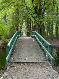 a wooden bridge over a small body of water