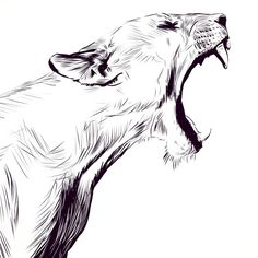 a black and white drawing of a lion's mouth