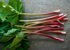 several stalks of rhubarb on a table with leafy greens around them