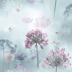 a bunch of pink and white flowers on a light blue background with clouds in the sky