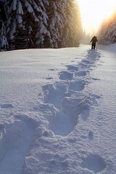 there is a person walking in the snow with skis on and footprints behind them