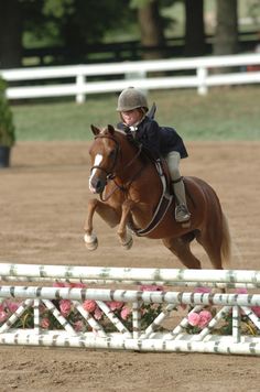 a woman riding on the back of a brown horse over an obstacle in a dirt field