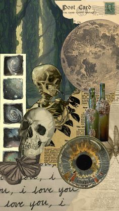 an altered collage with skulls and other items