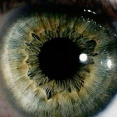 an extreme close up shot of the iris of a human eye