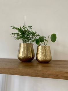 two gold vases with plants in them on a shelf