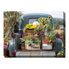 an old truck with flowers in the back