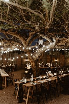 an outdoor dining area with lights strung from the trees and tables set up for dinner