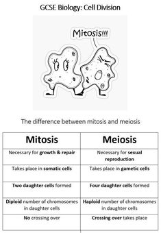 the differences in cell division and mitos