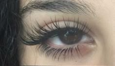 Semi Permanent Eyelashes, Permanent Eyelashes, Best Lash Extensions, Bentuk Alis, Make Up Inspiration, Swag Makeup