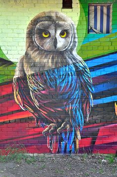 street art wallpapers - screenshoter for iphone and ipad, with an owl painted on the side