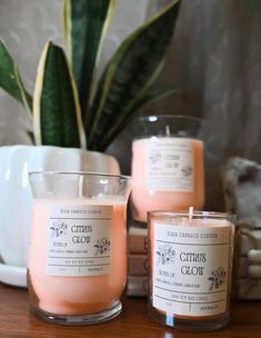 three candles sitting on top of a table next to a potted plant