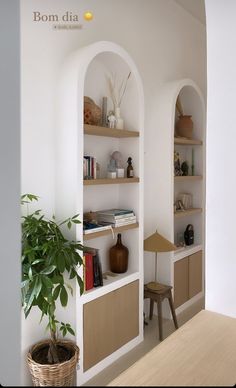 a living room with shelves and a potted plant