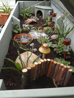 a small garden with lots of plants and rocks