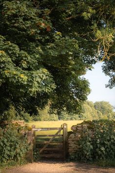 an open gate in the middle of a field with trees and bushes on either side