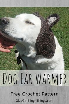 a dog wearing a knitted hat with the words, dog ear warmer free crochet pattern