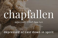 a teddy bear sitting on top of a wooden floor with the words chapa allen above it