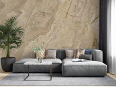 a living room with a couch, coffee table and potted plant on the floor