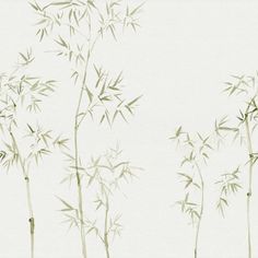 three tall bamboo trees in front of a white wall