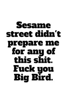 Funny Quotes Sarcasm, Funny As Hell, Badass Quotes, Big Bird, Work Humor, Sarcastic Humor