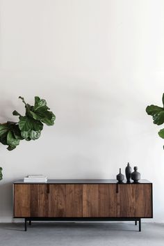 a large green plant sitting on top of a wooden cabinet next to a white wall