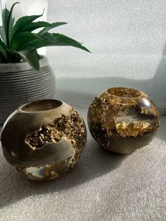 two vases sitting on top of a table next to a plant in a pot