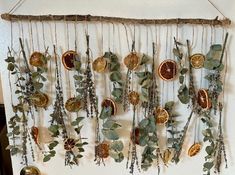 a wall hanging with dried oranges and greenery on the bottom, along with other decorations