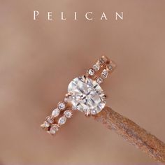 a diamond ring on top of a stick with the words pelican written above it