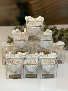 several clear boxes with white roses in them