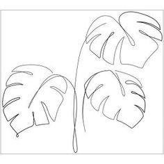 a line drawing of two large leaves