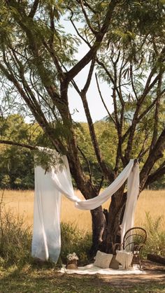 a chair under a tree with a white drape hanging from it's branches