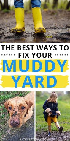 the best ways to fix your muddy yard with pictures of dogs and kids in rain boots