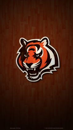 the logo of the university of cincinnati tigers on a wood background with planked flooring