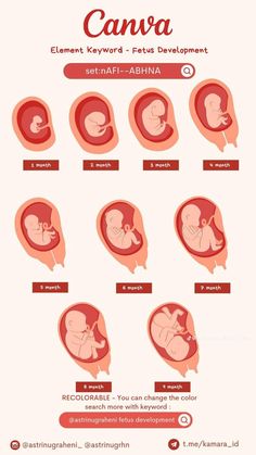 an info sheet with different types of baby's stomachs and the names of their babies