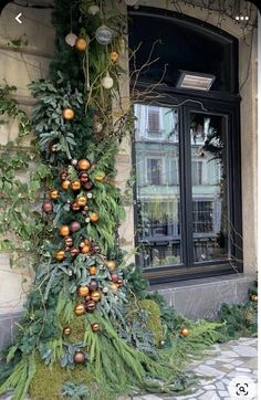 a very tall plant with lots of fruit on it's side walk next to a window