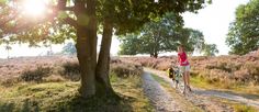 a person riding a bike down a dirt road next to a tree and grass covered field