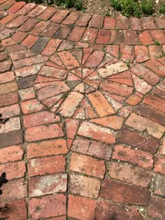 an old brick walkway with grass growing on it