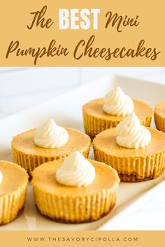 mini pumpkin cheesecakes with whipped cream on top and the title overlay reads, the best mini pumpkin cheesecakes