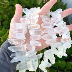 a hand holding several clear crystal pieces in it's palm and some green plants