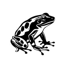 a black and white frog on a white background